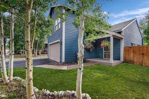 1131 Mesa Dr, Silverthorne, CO 80498 photo 33