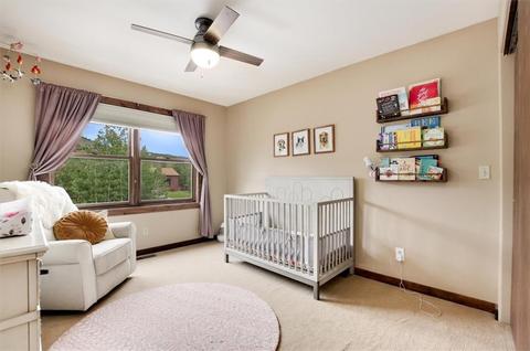1131 Mesa Dr, Silverthorne, CO 80498 photo 24