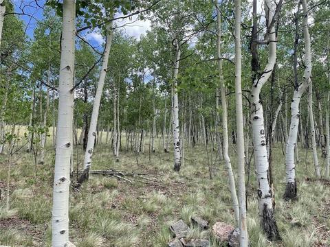 2273 Pinto Trl, Como, CO 80432 photo 13