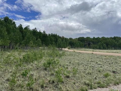 2273 Pinto Trl, Como, CO 80432 photo 16