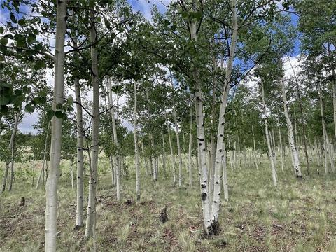 2273 Pinto Trl, Como, CO 80432 photo 8