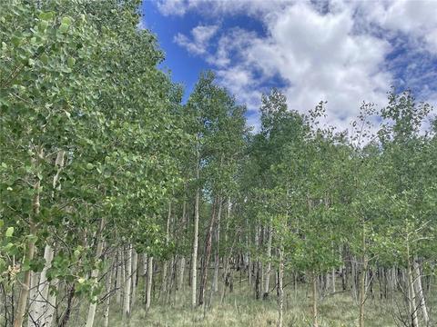2273 Pinto Trl, Como, CO 80432 photo 4