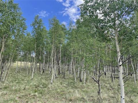 2273 Pinto Trl, Como, CO 80432 photo 2