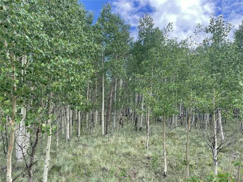 2273 Pinto Trl, Como, CO 80432 photo 7