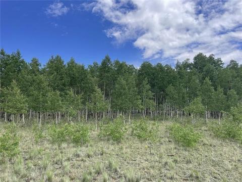 2273 Pinto Trl, Como, CO 80432 photo 5