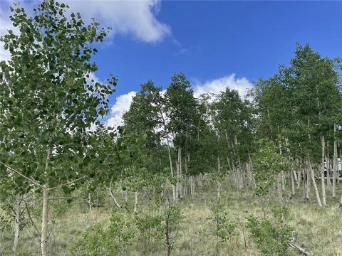 2273 Pinto Trl, Como, CO 80432 photo 12