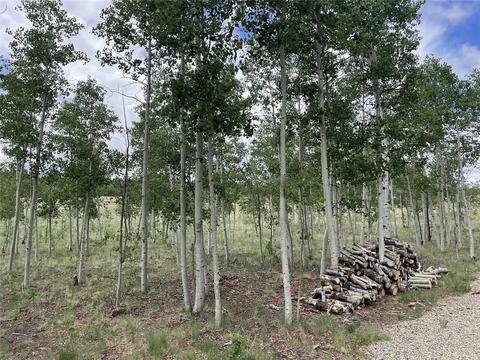 2273 Pinto Trl, Como, CO 80432 photo 11