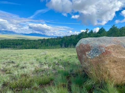 43 Sanderling Ct, Como, CO 80432 photo 3