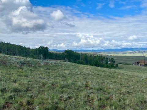 43 Sanderling Ct, Como, CO 80432 photo 6