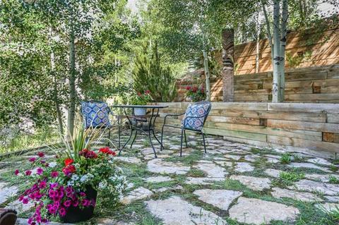 629 Idlewild Dr, Dillon, CO 80435 photo 33