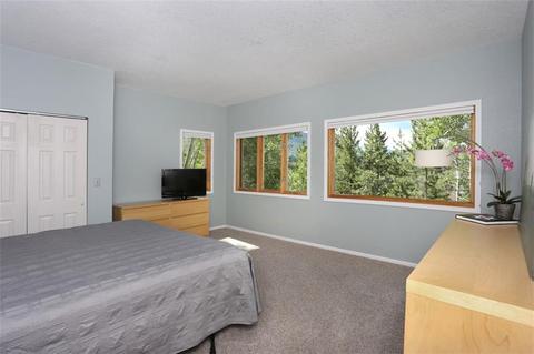 629 Idlewild Dr, Dillon, CO 80435 photo 17