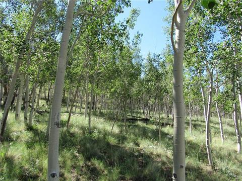 12950 Elkhorn Rd, Como, CO 80432 photo 26