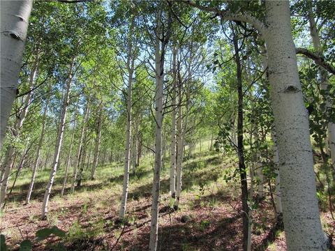 12950 Elkhorn Rd, Como, CO 80432 photo 8