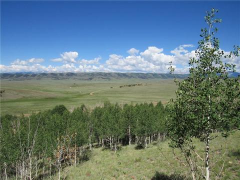 12950 Elkhorn Rd, Como, CO 80432 photo 12