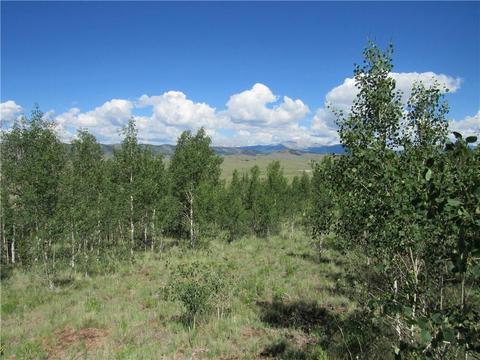 12950 Elkhorn Rd, Como, CO 80432 photo 18