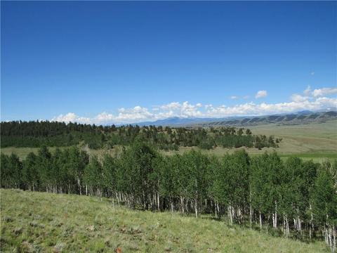 12950 Elkhorn Rd, Como, CO 80432 photo 11
