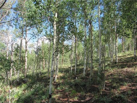 12950 Elkhorn Rd, Como, CO 80432 photo 2