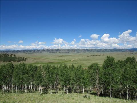 12950 Elkhorn Rd, Como, CO 80432 photo 10
