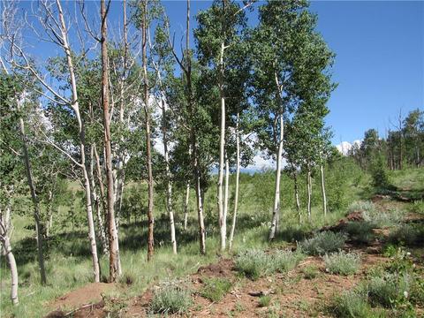 12950 Elkhorn Rd, Como, CO 80432 photo 15