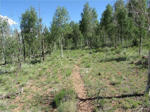 12950 Elkhorn Rd, Como, CO 80432 photo 21