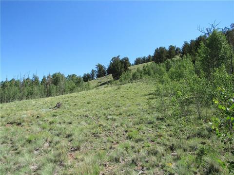 12950 Elkhorn Rd, Como, CO 80432 photo 19