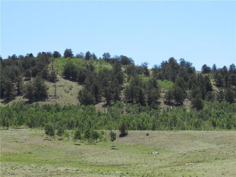 12950 Elkhorn Rd, Como, CO 80432 photo 29