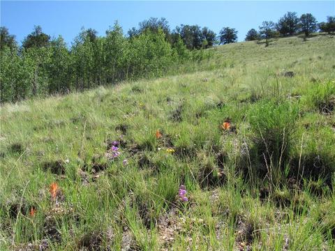 12950 Elkhorn Rd, Como, CO 80432 photo 9