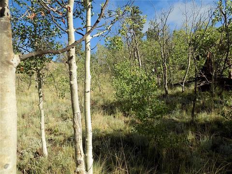 127 Bob White Cir, Como, CO 80432 photo 22