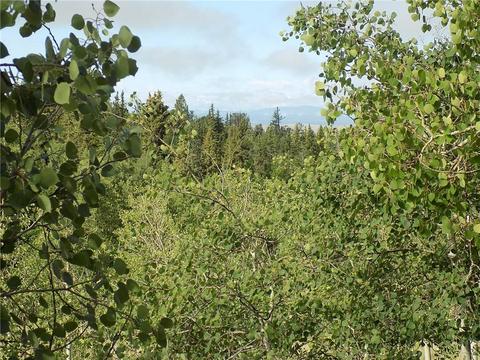 127 Bob White Cir, Como, CO 80432 photo 13