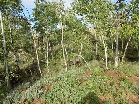 127 Bob White Cir, Como, CO 80432 photo 11