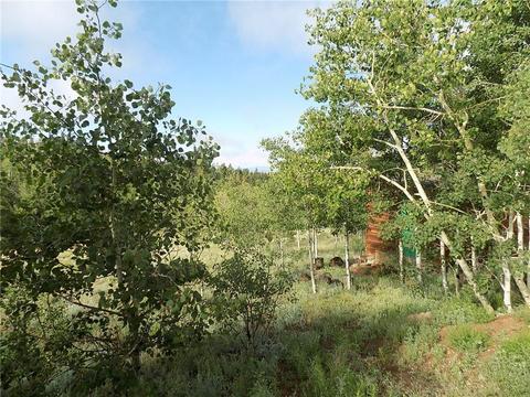 127 Bob White Cir, Como, CO 80432 photo 12