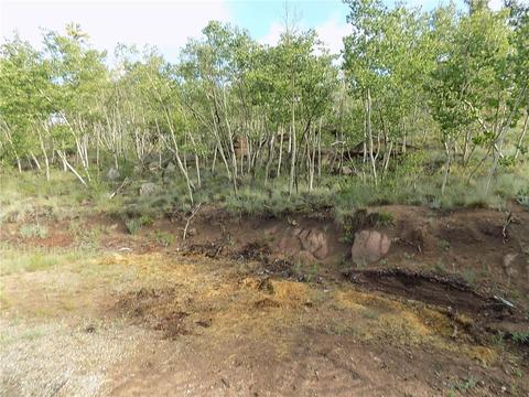 127 Bob White Cir, Como, CO 80432 photo 6
