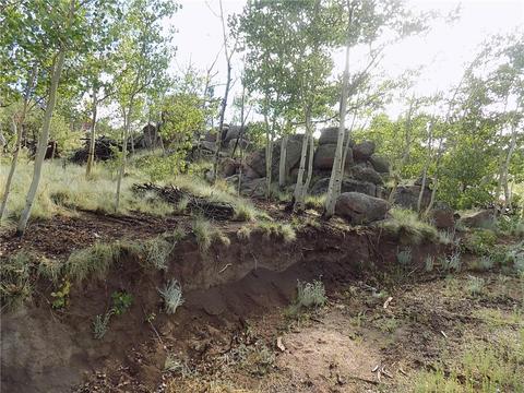 127 Bob White Cir, Como, CO 80432 photo 7