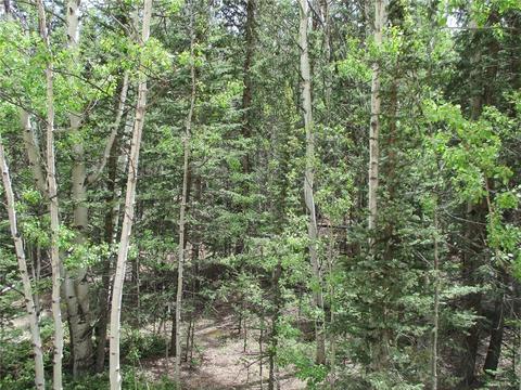 6409 Remington Rd, Como, CO 80432 photo 11