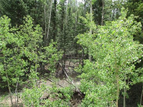 6409 Remington Rd, Como, CO 80432 photo 10