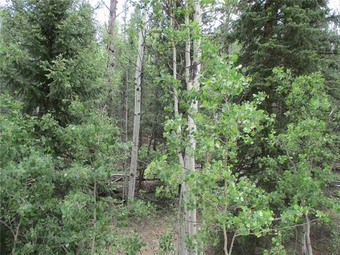 6409 Remington Rd, Como, CO 80432 photo 7