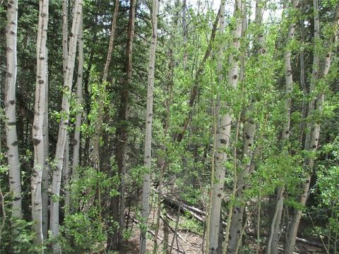 6409 Remington Rd, Como, CO 80432 photo 12