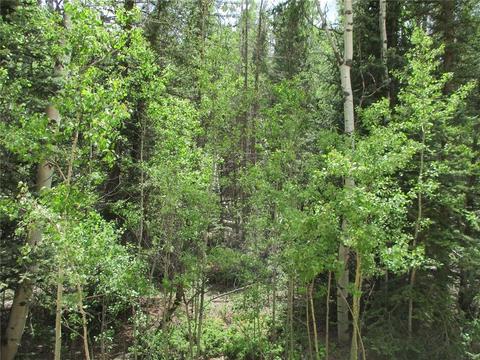 6409 Remington Rd, Como, CO 80432 photo 13