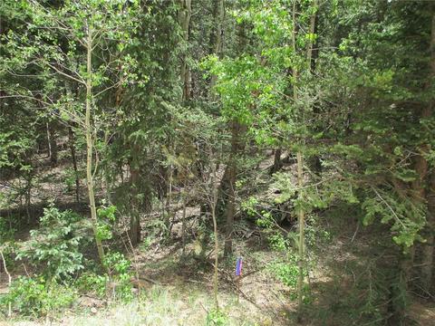6409 Remington Rd, Como, CO 80432 photo 17