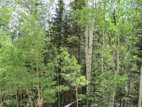 6409 Remington Rd, Como, CO 80432 photo 15