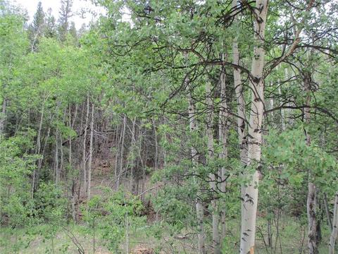 6409 Remington Rd, Como, CO 80432 photo 3