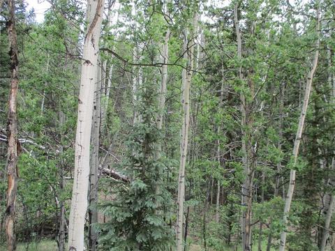 6409 Remington Rd, Como, CO 80432 photo 4