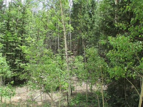 6409 Remington Rd, Como, CO 80432 photo 16