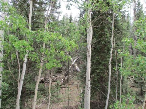 6409 Remington Rd, Como, CO 80432 photo 6