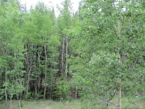 6409 Remington Rd, Como, CO 80432 photo 2