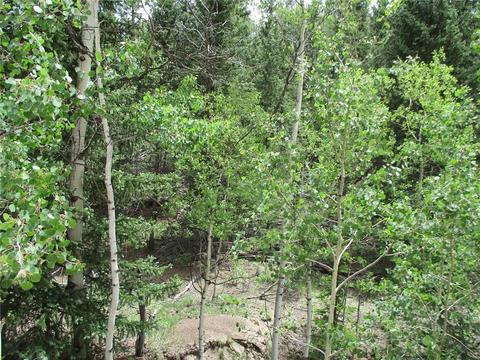 6409 Remington Rd, Como, CO 80432 photo 9