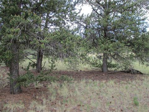 143 Ignacio Ct, Como, CO 80456 photo 7