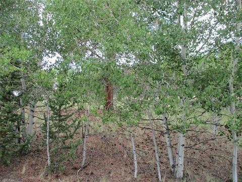 143 Ignacio Ct, Como, CO 80456 photo 4