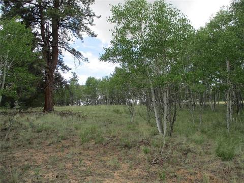 143 Ignacio Ct, Como, CO 80456 photo 2