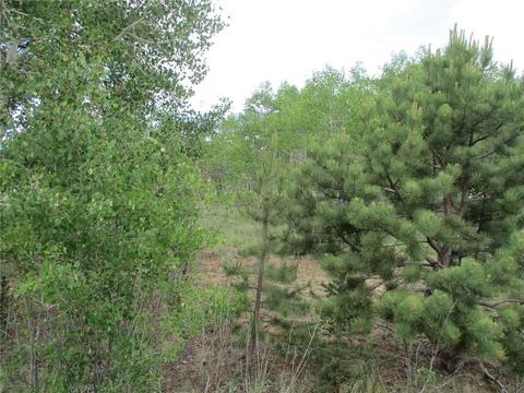 143 Ignacio Ct, Como, CO 80456 photo 3